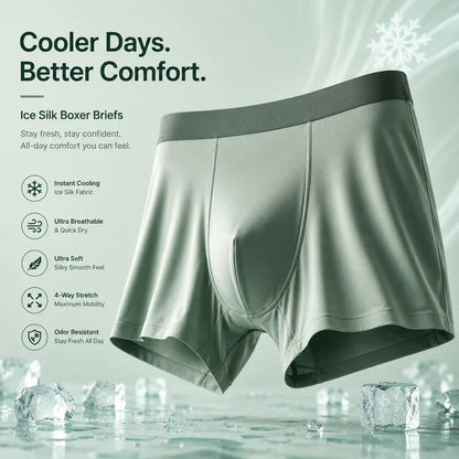 Silk Boxer Underwear for Men BUY 1 GET 2 FREE